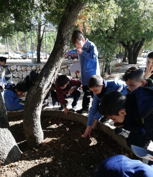 d6710539cd759032fda4a68952613433_L