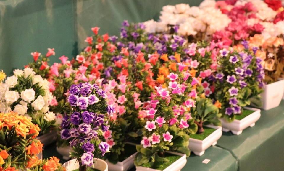 55759915_854049934943995_2057394256540073984_n